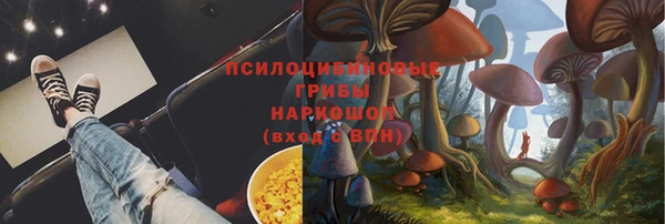 PSILOCYBIN Богородицк