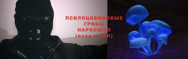 амф Богородск