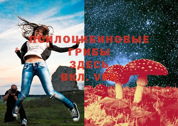PSILOCYBIN Богородицк