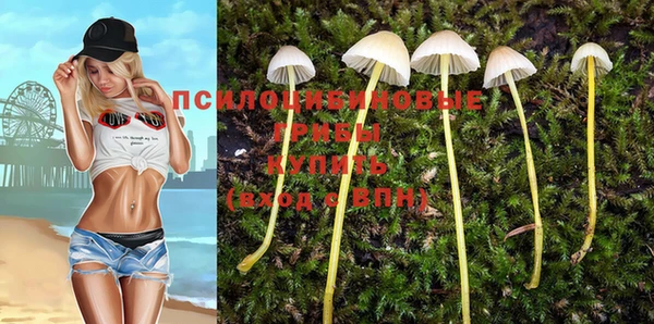 PSILOCYBIN Богородицк