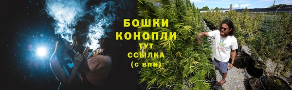 PSILOCYBIN Богородицк