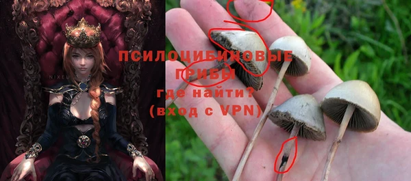 PSILOCYBIN Богородицк