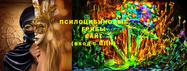 PSILOCYBIN Богородицк